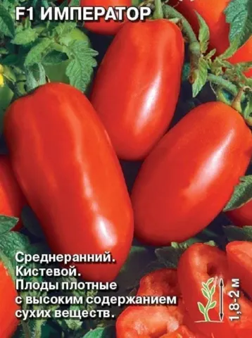 Червоні помідори сорту Імператор на зелених листках