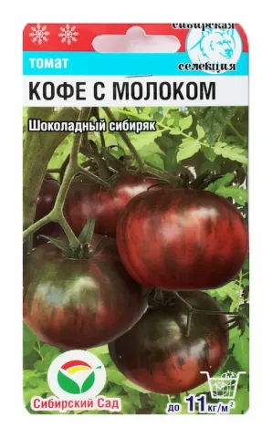 Пакет семян томата «Кофе с молоком» с изображением спелых плодов