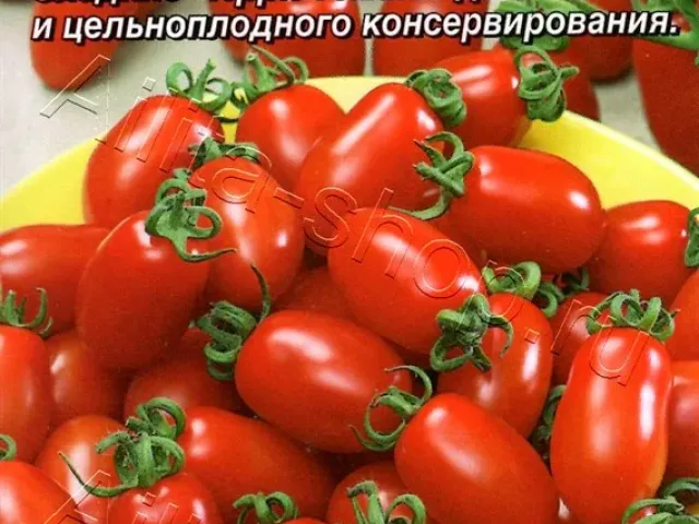 Червоні Буси