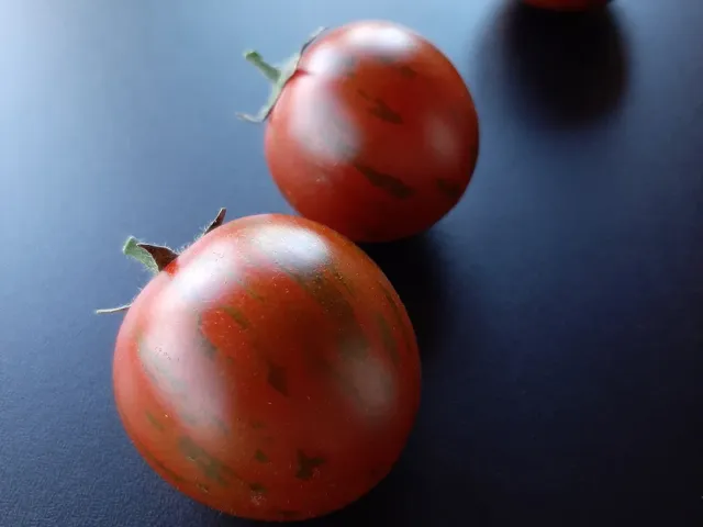 Куро Суджі