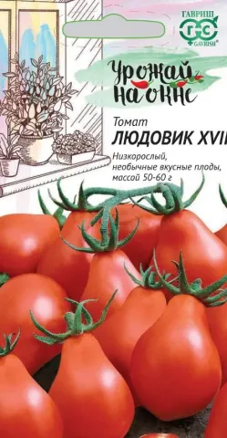 Пакет насіння помідора Людвик XVI на фоні червоних плодів - Л-15-17У