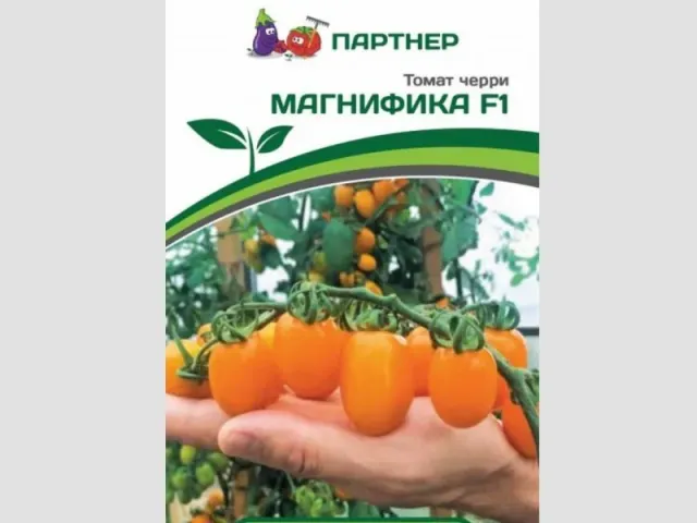 Магнифика