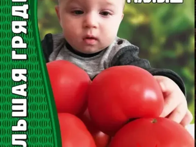 Малыш
