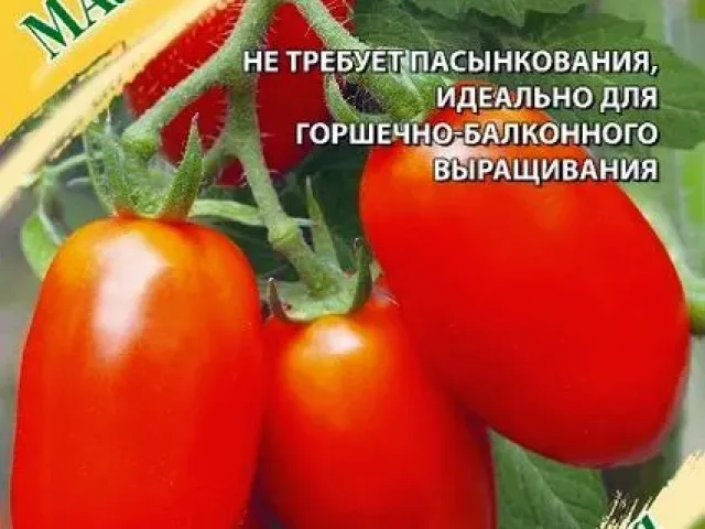 Малючок Міцний