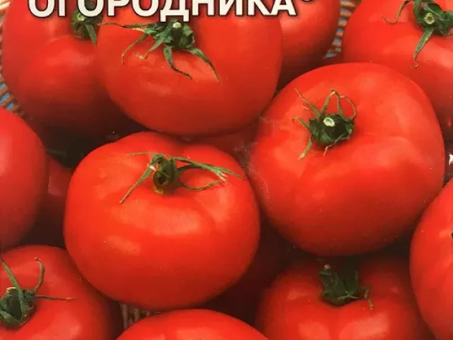 Мрія Садівника
