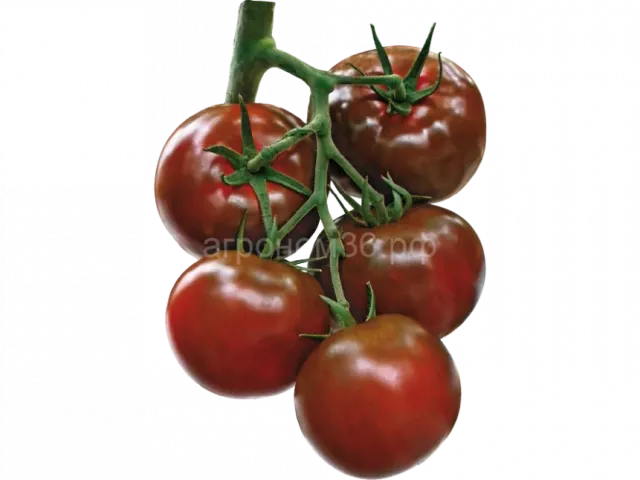 Минерал