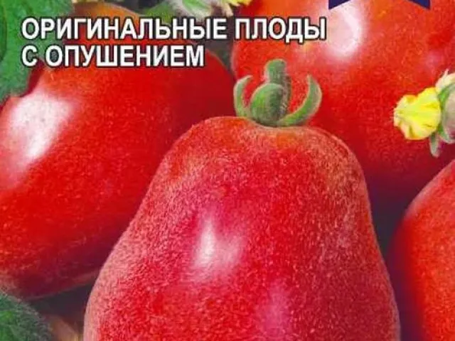 Молодець