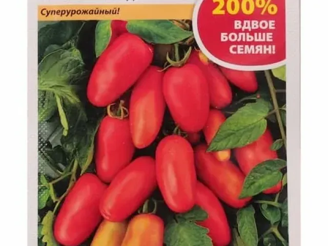 MOSCOW DELICATE
