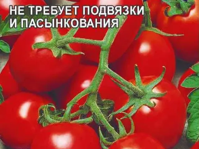 НОВИНКА ПРИДНІСТРОВ'Я