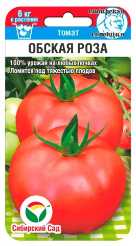 Tomato seed packet «Obskaya Roza»