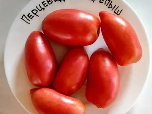 Перцевідний Крепиш