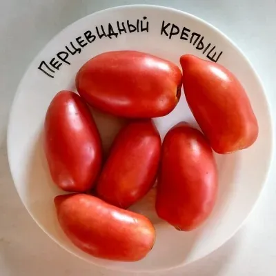 Томати сорту ПЕРЦЕВІДНИЙ КРЕПІШ на білій тарілці - ПЕРЦЕВІДНИЙ КРЕПИШ