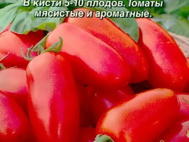 Перцівка