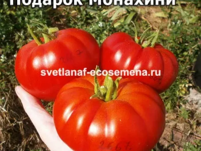 Подарок Овощеводу