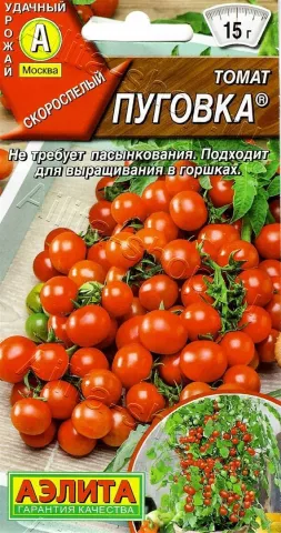 Seed packet of tomato variety PUGOVKA with image of red tomatoes - Button