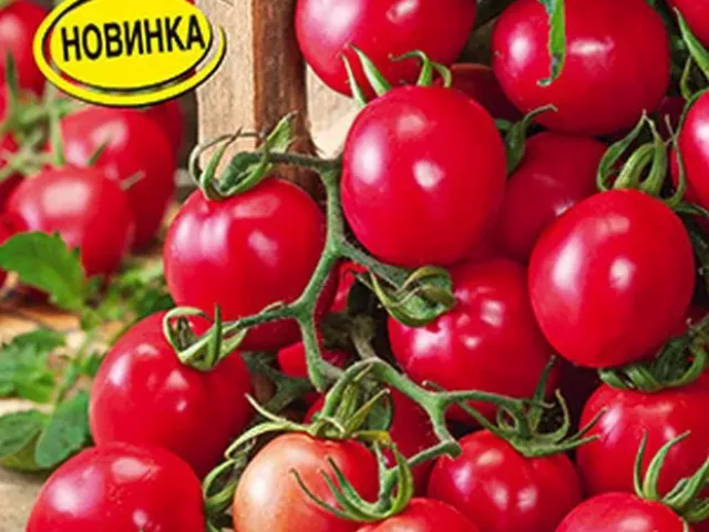 Розовая Гирлянда