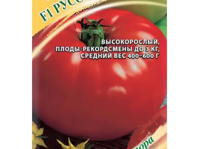 Російський Розмір