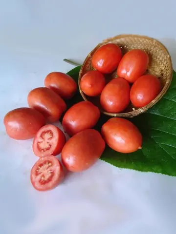 Red tomatoes of the Shatl variety in a woven basket on a green leaf