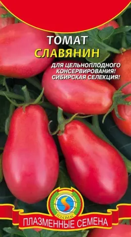 Пакет семян томата Славянин с изображением красных плодов
