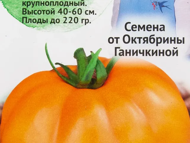 Сонце Панчєва