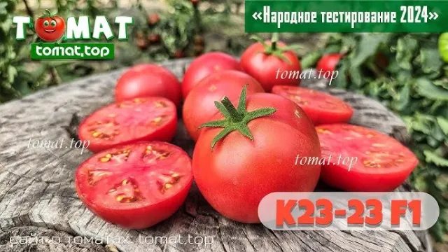 Свіжі помідори сорту Т 023 1 на дерев'яній поверхні