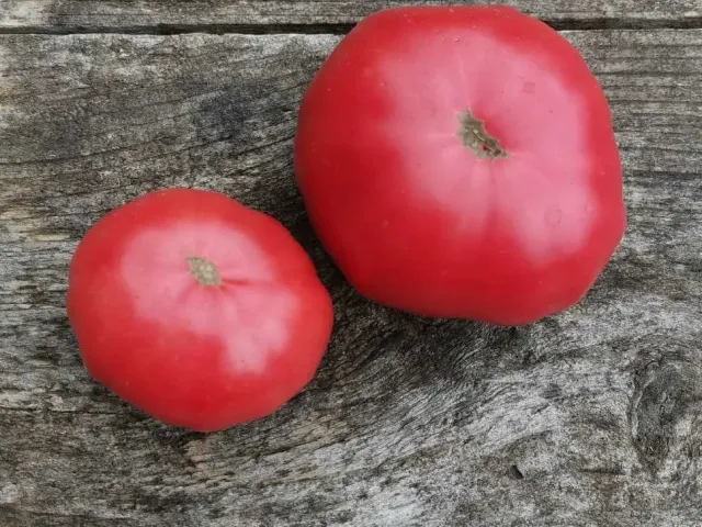 Удача