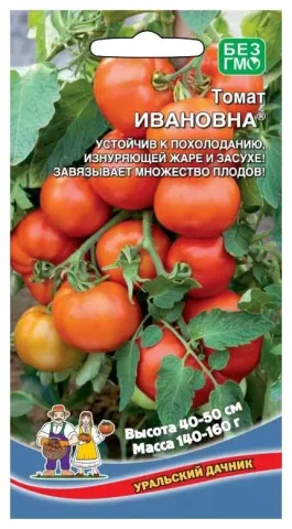 Пакет семян томата ИВЯНОВНА с изображением спелых плодов - Унавский / Унавський
