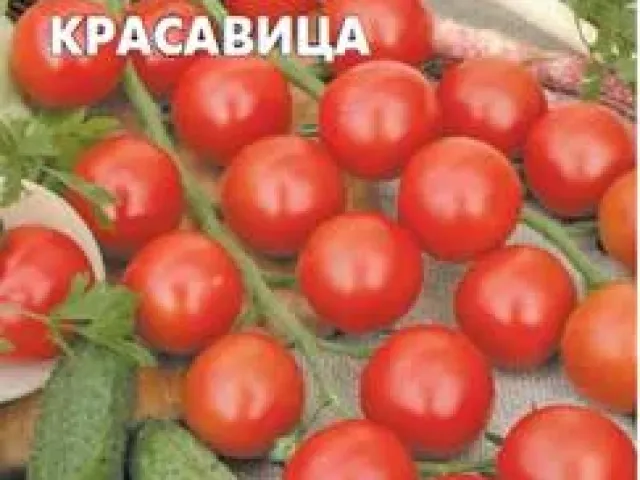 Южная Красавица