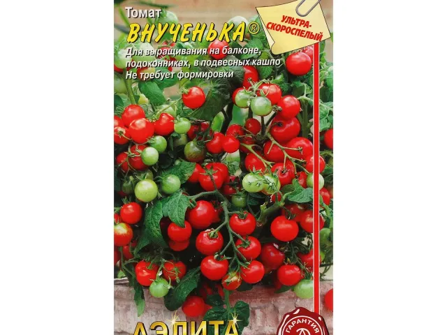Внучек