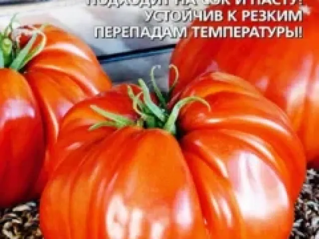Выбери Меня