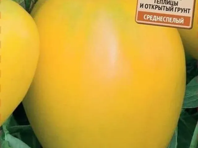 Золотая Искра