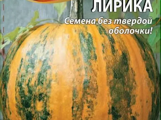 Лірика