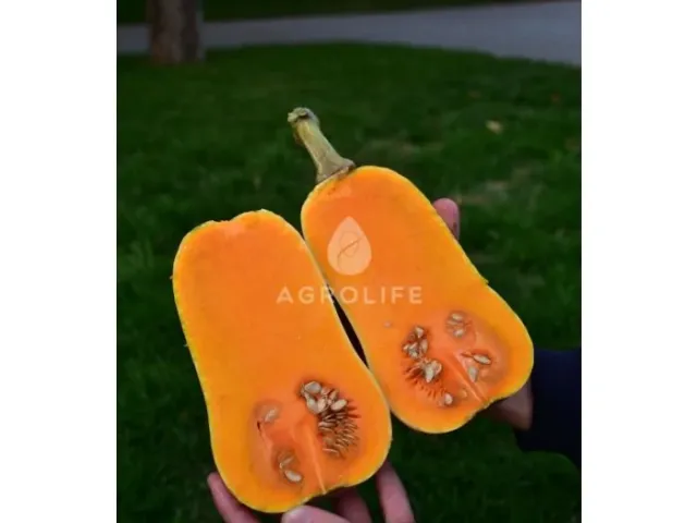 Винас