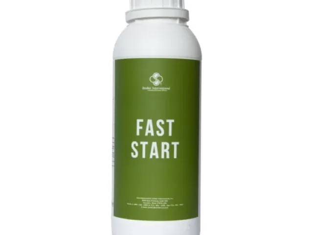 Фаст Старт