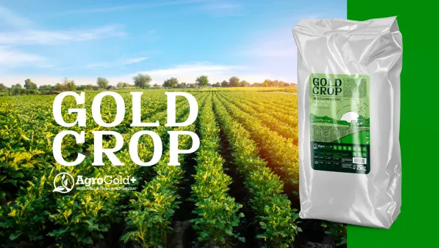 Герой-зображення для добрива GOLDEN CROP на фоні поля - GOLDEN CROP (ЗОЛОТИЙ ВРОЖАЙ)