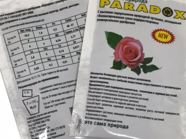 PARADOX