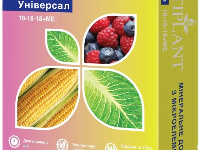 ТрансферАп