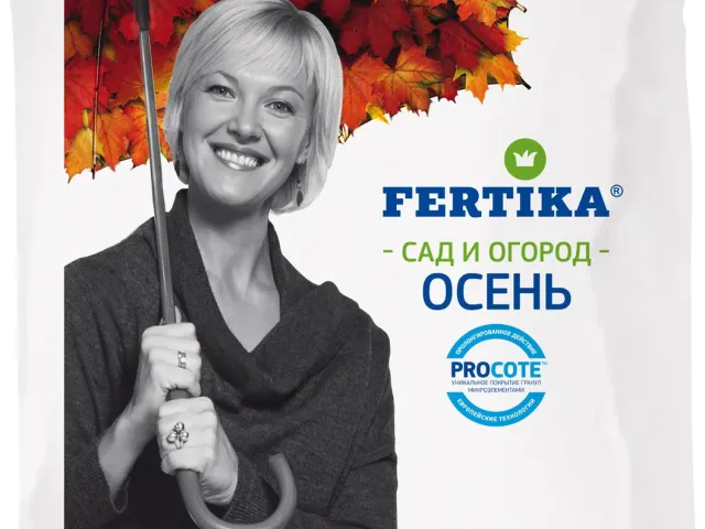 Уніцинк С