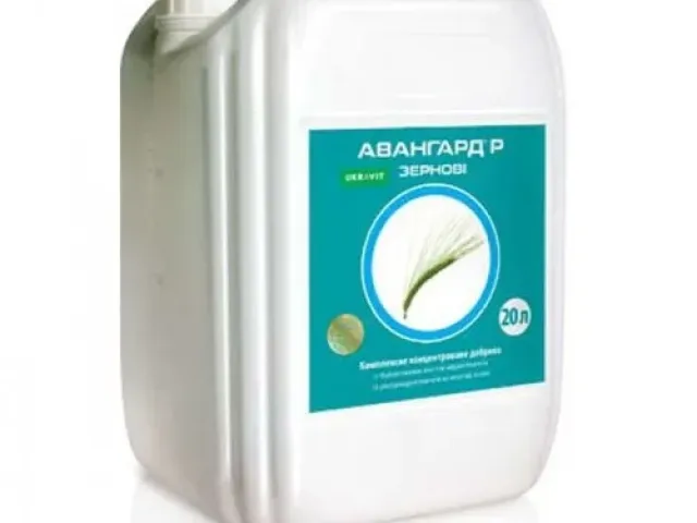 Авангард