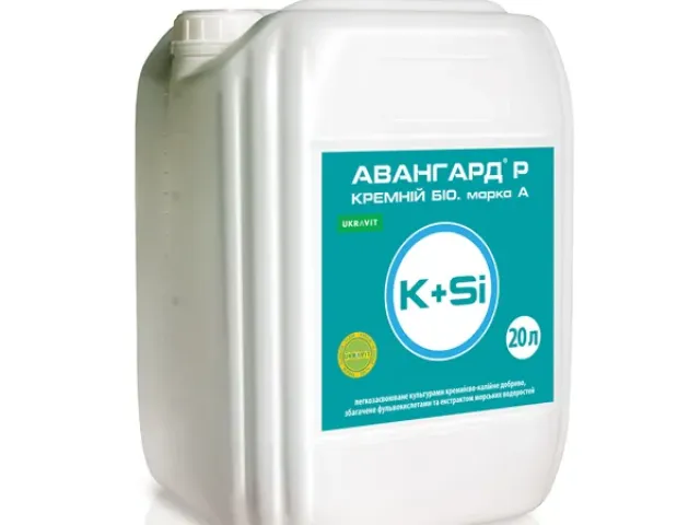Авангард Кремний БИО
