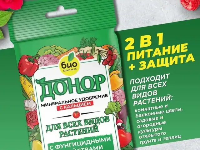 Донор