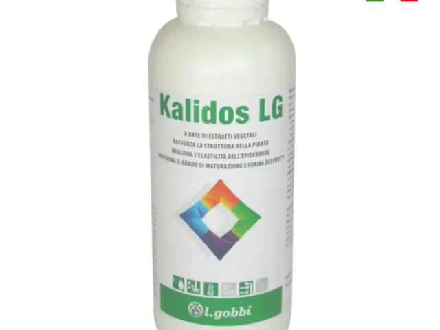 Kalidos LG