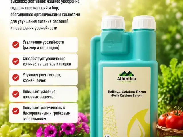 Келик Бор
