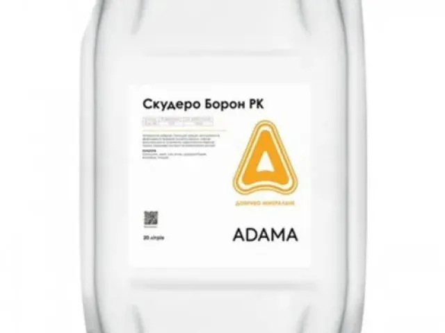 Скудеро Борон