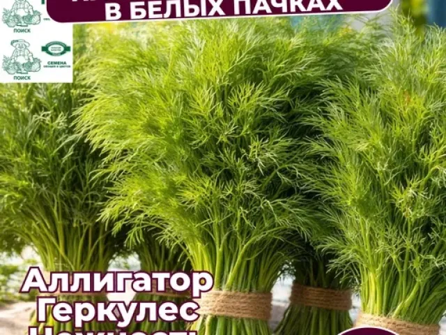 Gerkules