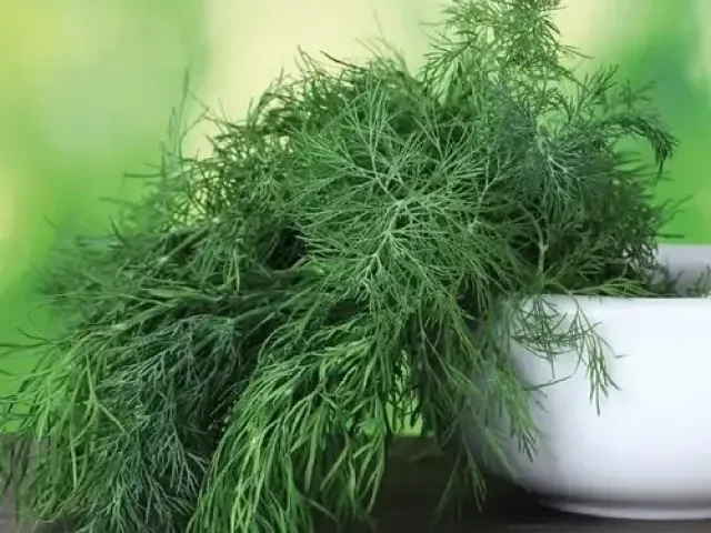Консул