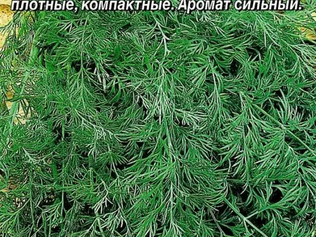Маскарад