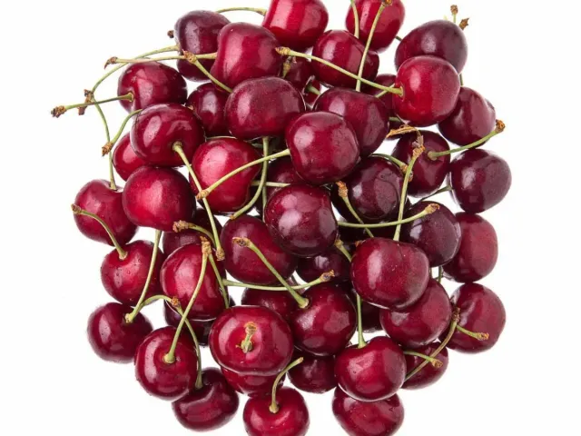 Zabuta