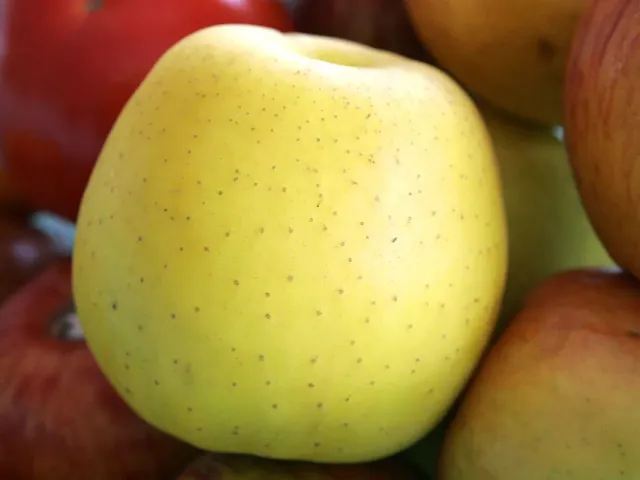 Golden Delicious