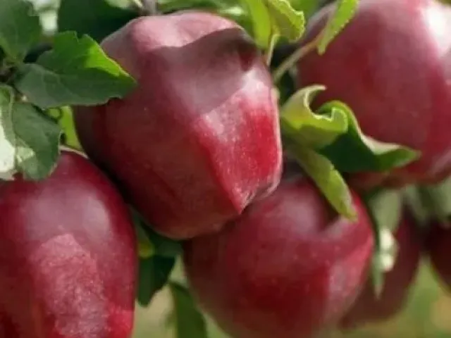 Старт